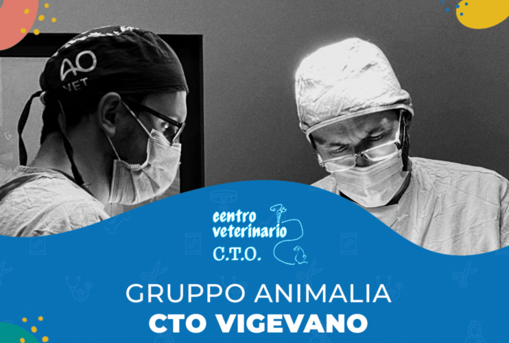Benvenuto al C.T.O. di Vigevano!