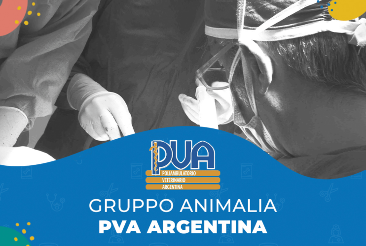 Un caldo benvenuto al Poliambulatorio Veterinario Argentina