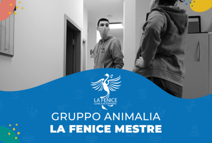 Gruppo Animalia La Fenice Mestre