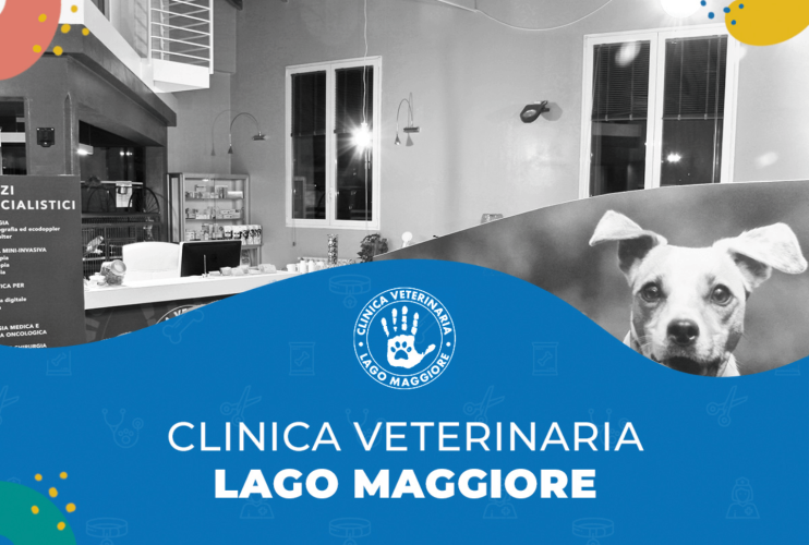 La Clinica Veterinaria Lago Maggiore si unisce al gruppo