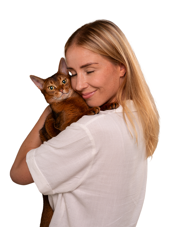 Cane e veterinaria