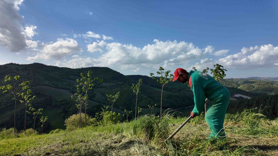 Nasce l’Oasi Animalia in collaborazione con 3Bee
