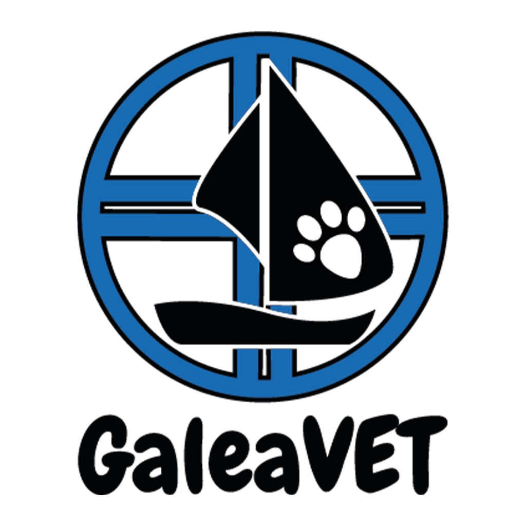 logo clinica
