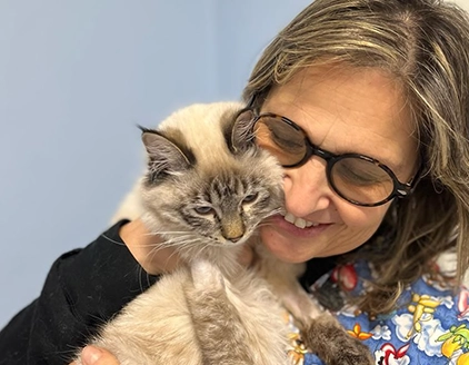 Dottoressa Luisa Borgia gatto