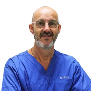 Nicola Penengo