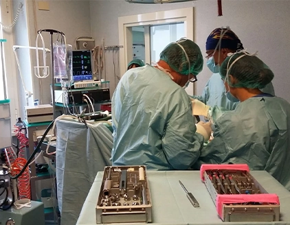 Chirurgia Ambulatorio Veterinario Dottor Belli Dottoressa Lisi Roma