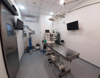 Chirurgia Clinica Veterinaria Primavera Palermo