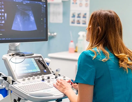 Ecografia Clinica Veterinaria San Biagio Ancona