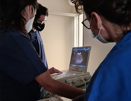 Ecografia dettaglio Clinica Veterinaria S. Antonio Azzano