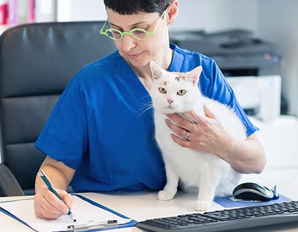 Elisa Anzolin gatto