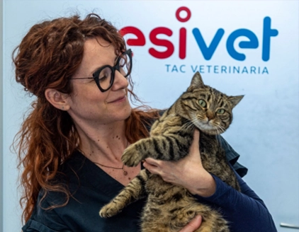 Gatto Centro Diagnostico Veterinario JesiVet
