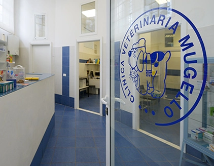 Interno clinica Clinica Veterinaria San Piero Mugello