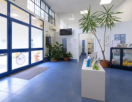 Interno reception Clinica Veterinaria San Piero Mugello