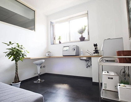 Laboratorio Clinica Veterinaria Neur On Scan Catania