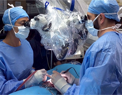 Neurologia Clinica Veterinaria Pedrani Diagnostica Piccoli Animali