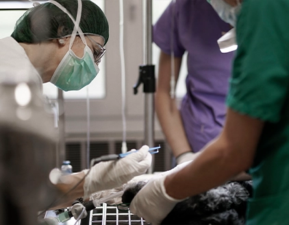 Operazione Clinica Veterinaria PetCare Bologna