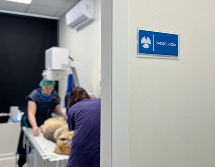 Radiologia Centro Veterinario CTO Vigevano