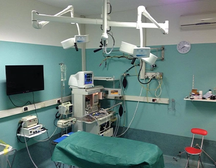 Sala operatoria Clinica Veterinaria Dormelletto
