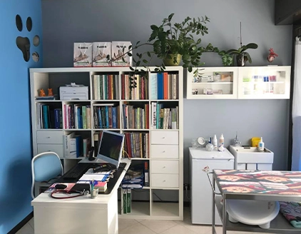 Sala visita Clinica Veterinaria Brianzavet