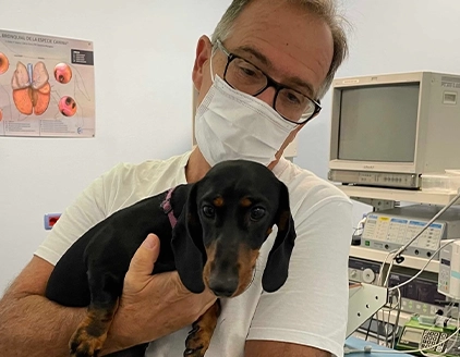 Staff cane Clinica Veterinaria ARS Fiorano
