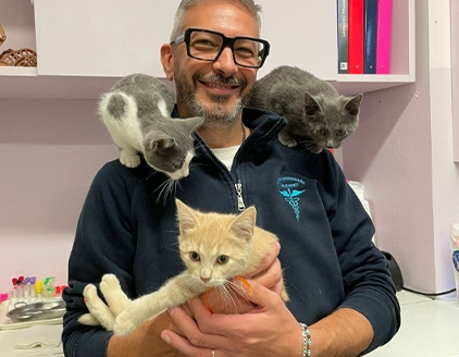 Staff gatti Clinica Veterinaria Gaudenzi Pesaro