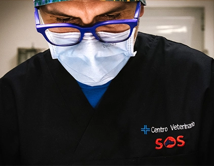 Staff Centro Veterinario SOS - Oberdan