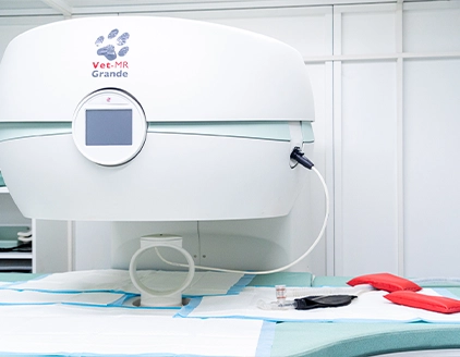 Strumentazioni Clinica Veterinaria Etiopia Roma