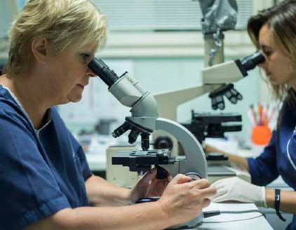 Strumenti ambulatorio Veterinario Schiavi Colautti Padovani Udine