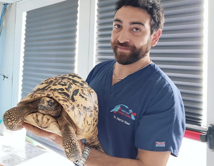 Tartaruga Centro Veterinario Specialistico Roma
