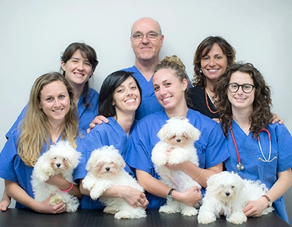 Team Clinica Veterinaria Città del Marmo