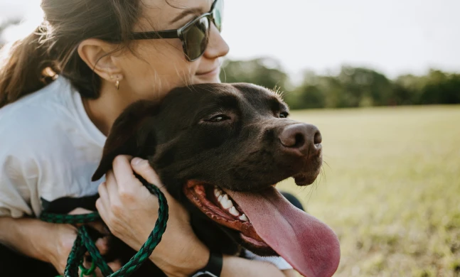 immagine pet parent
