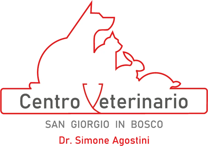 logo clinica
