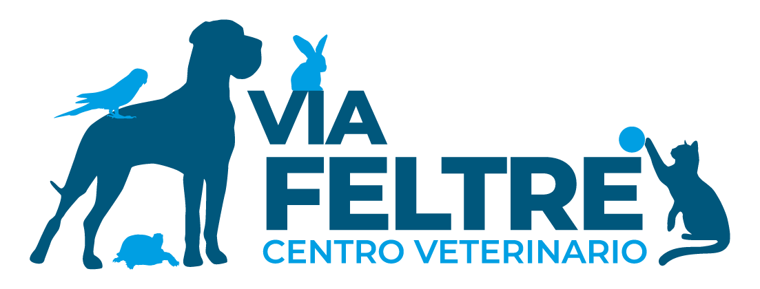 logo clinica