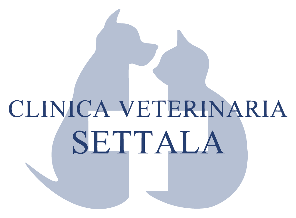 logo clinica